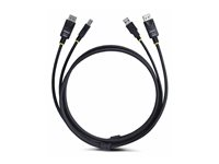 StarTech.com 10ft (3m) DisplayPort and USB 5Gbps KVM Cable - Tastatur / video / musekabel (KVM) - DisplayPort, USB-type A (hann) til DisplayPort, USB Type B (hann) - 3 m - 4K 60Hz støtte, HDR10-støtte - svart DU12210-KVM-CABLE