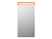 Lenovo PS6S - SSD - 2 TB - ekstern (bærbar) - USB 3.1 Gen 2 (USB-C kontakt) - kjølig grå 4XB1T88411