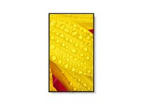 NEC MultiSync M431-2 - 43" Diagonalklasse (42.5" synlig) - M Series LED-bakgrunnsbelyst LCD-skjerm - intelligent skilting - med innebygd mediespiller / valgfri PC-funksjonalitet med spor - 4K UHD (2160p) 3840 x 2160 - HDR - direktebelyst LED - pantone 426M 60006083