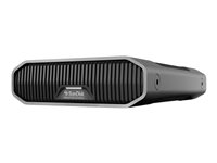 SanDisk Professional - Harddisk - Enterprise - 12 TB - ekstern (stasjonær) - USB 3.2 Gen 2 (USB-C kontakt) - 7200 rpm SDPHF1A-012T-MBAAD